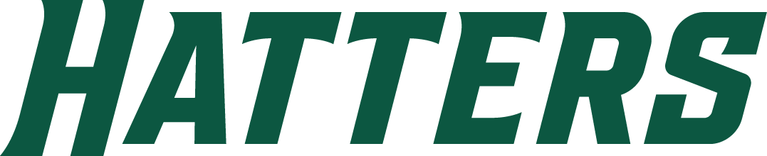 Stetson Hatters 2018-Pres Wordmark Logo v2 diy iron on heat transfer
